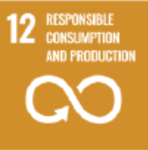 Responsible Consumption and Production